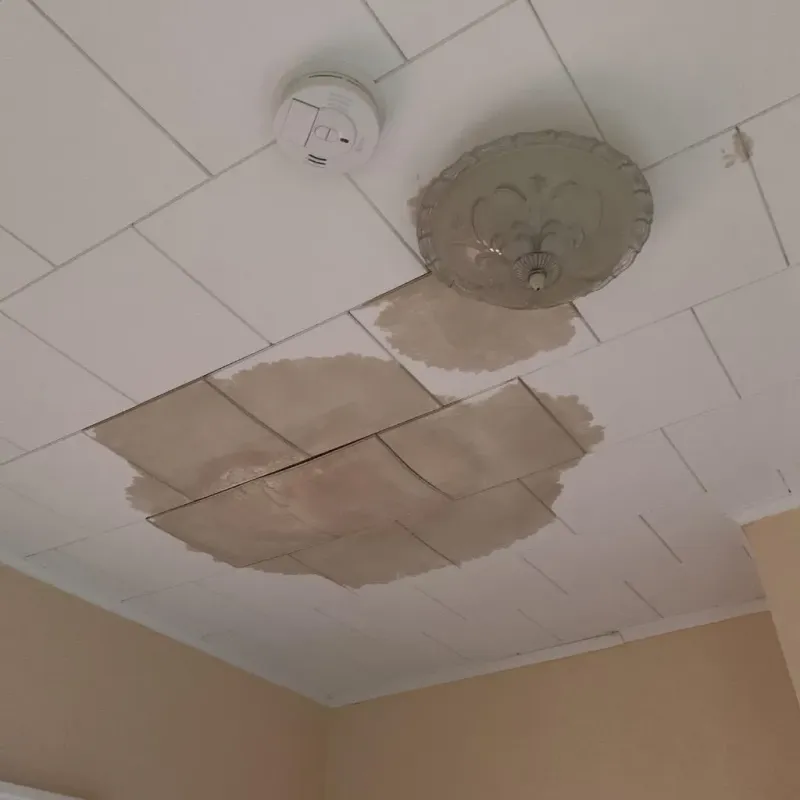 Ceiling Water Damage Repair in Estelle, LA